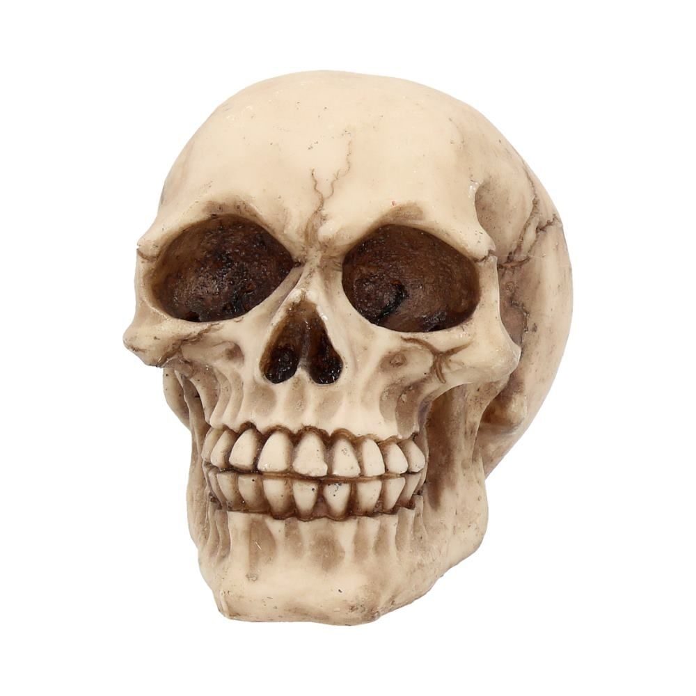Nemesis Now - Joker 12cm Figurine - Skull - Cream